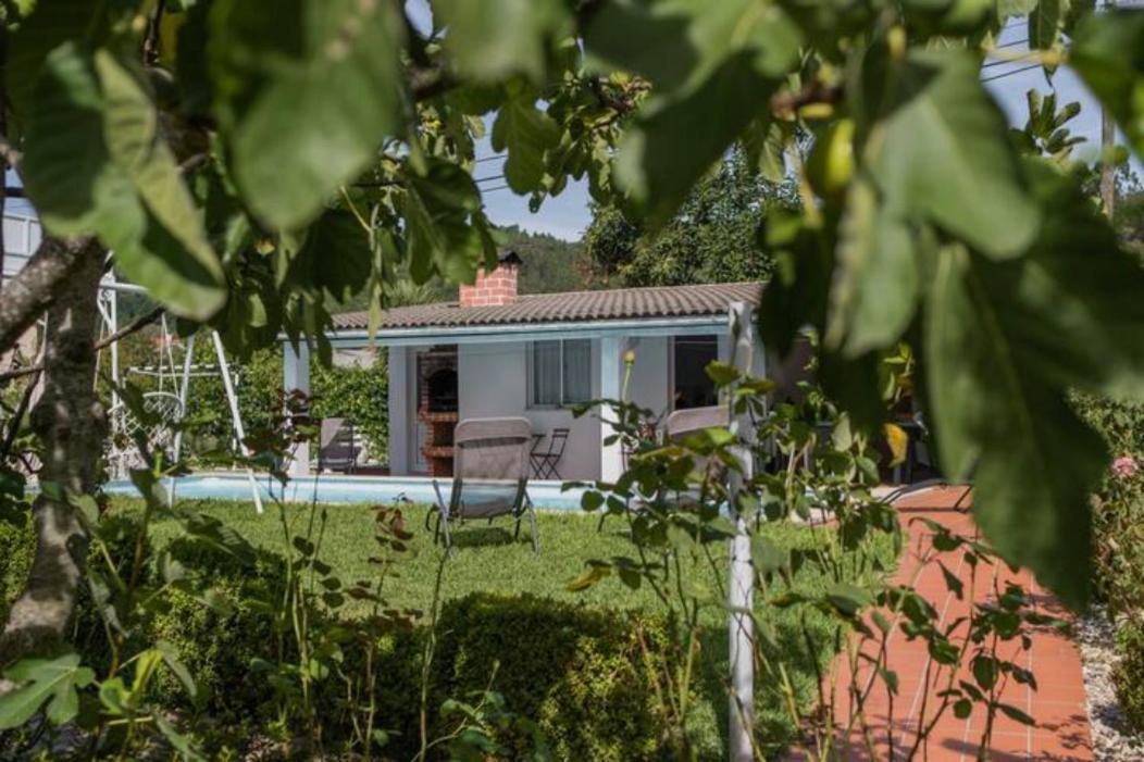 Delfim E Carmo - Entire House Com Piscina Villa São Pedro do Sul Dış mekan fotoğraf